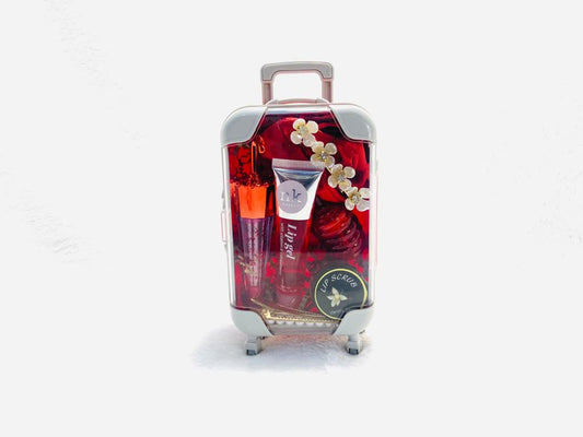 Suitcases Holiday Collection