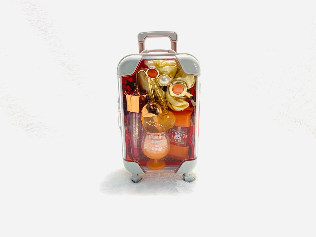 Suitcases Holiday Collection